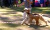 Filename=DSC_0315~11.jpg
Filesize=188KiB
Dimensions=1200x739
Date added=Jul 23, 2017 DSC_0315~11.jpg
