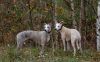 DSC_0317~12.jpg
