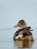 DSC_0323~2.jpg