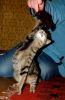 Filename=DSC_0331~0.jpg
Filesize=165KiB
Dimensions=783x1200
Date added=Oct 17, 2011 DSC_0331~0.jpg