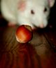 DSC_0332.jpg