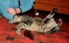 Filename=DSC_0349~2.jpg
Filesize=200KiB
Dimensions=1200x765
Date added=Oct 17, 2011 DSC_0349~2.jpg