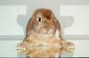 DSC_0355~7.jpg
