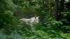 DSC_0362.jpg