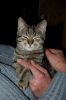 Filename=DSC_0363~1.jpg
Filesize=153KiB
Dimensions=798x1200
Date added=Oct 17, 2011 DSC_0363~1.jpg
