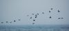 DSC_0377~9.jpg