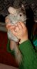DSC_0387~1.jpg