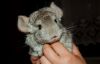 DSC_0388~0.jpg