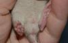 DSC_0397~5.jpg