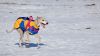 DSC_0399~3.jpg