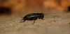 DSC_0406.jpg
