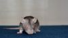DSC_0412~10.jpg