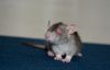 DSC_0421~3.jpg