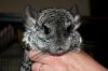 DSC_0425~2.jpg