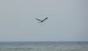 DSC_0425~9.jpg