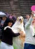 Filename=DSC_0433~7.jpg
Filesize=110KiB
Dimensions=868x1200
Date added=Aug 20, 2017 DSC_0433~7.jpg