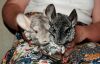 DSC_0434.jpg