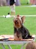 Filename=DSC_0438~2.jpg
Filesize=134KiB
Dimensions=879x1200
Date added=Aug 20, 2017 DSC_0438~2.jpg