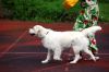 Filename=DSC_0443~5.jpg
Filesize=154KiB
Dimensions=1200x798
Date added=Aug 20, 2017 DSC_0443~5.jpg