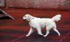 Filename=DSC_0444~2.jpg
Filesize=117KiB
Dimensions=1200x733
Date added=Aug 20, 2017 DSC_0444~2.jpg