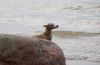 DSC_0445~5.jpg