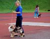 DSC_0446~6.jpg