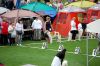DSC_0464~3.jpg