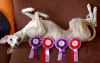 DSC_0489~1.jpg
