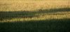 DSC_0550~0.jpg