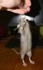 DSC_0694.jpg