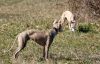 DSC_0703.jpg