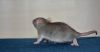 DSC_0725~0.jpg