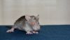 DSC_0762~0.jpg
