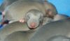 normal_DSC_00527E8.jpg