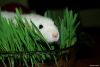 normal_DSC_00947E3.jpg