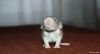 normal_DSC_05627E0.jpg