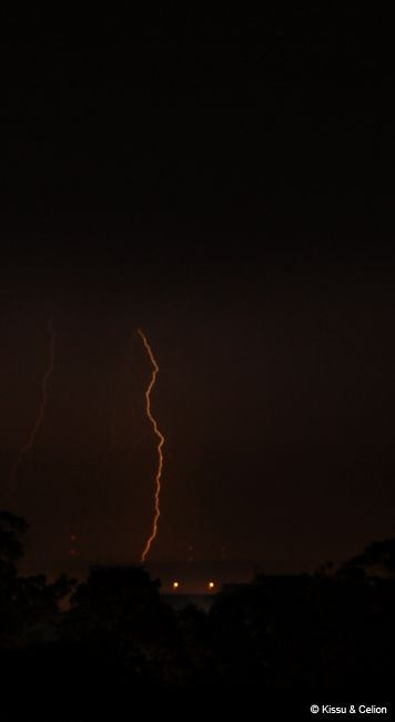 DSC_0043.jpg