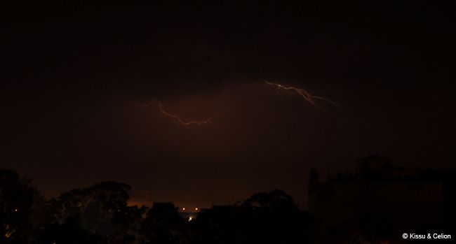 DSC_0063.jpg
