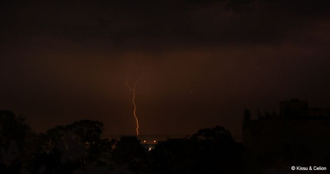 DSC_0069.jpg