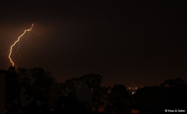 DSC_0070.jpg