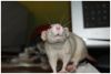 DSC_0312.jpg