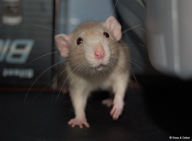 DSC_0010.jpg