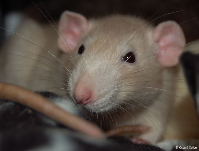DSC_0098.jpg