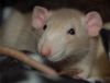 DSC_0098.jpg